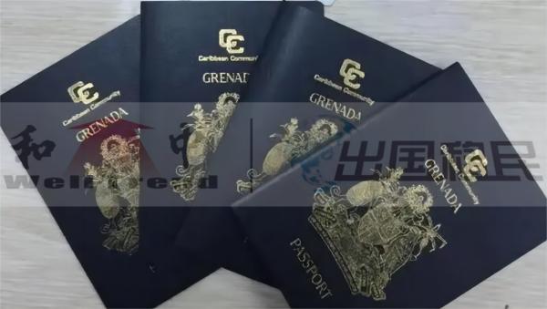 2023年3月：格林納達護照客戶金先生一家順利收到護照身份